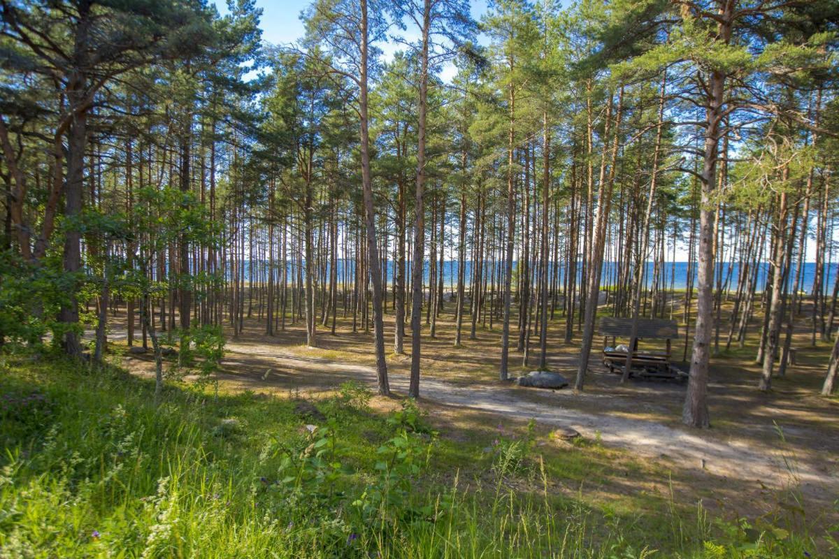 Puhkekeskus Valkla Rand- Simple Accomodation Zewnętrze zdjęcie